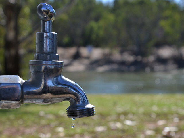 On Tap by Sylvia Baumgarten